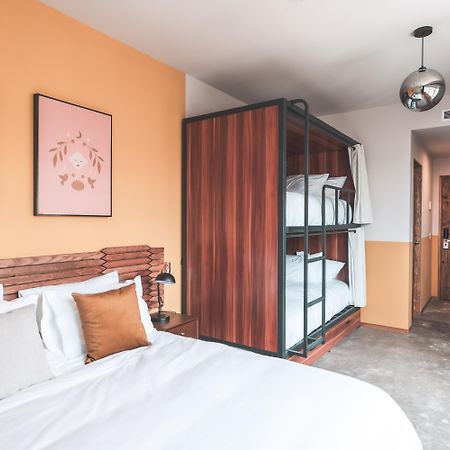 Hotel Ola Chapultepec Guadalajara Dış mekan fotoğraf