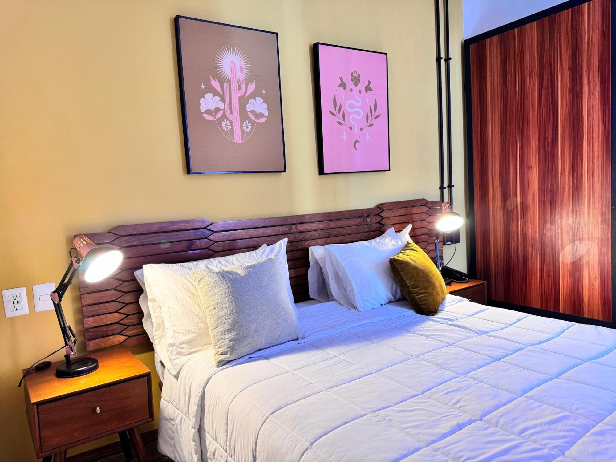 Hotel Ola Chapultepec Guadalajara Dış mekan fotoğraf
