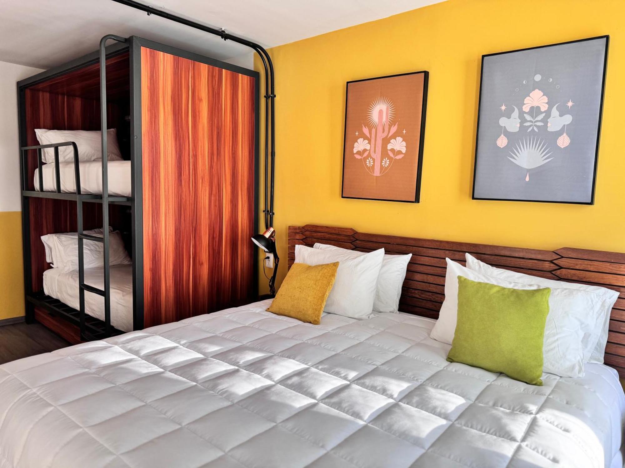 Hotel Ola Chapultepec Guadalajara Dış mekan fotoğraf