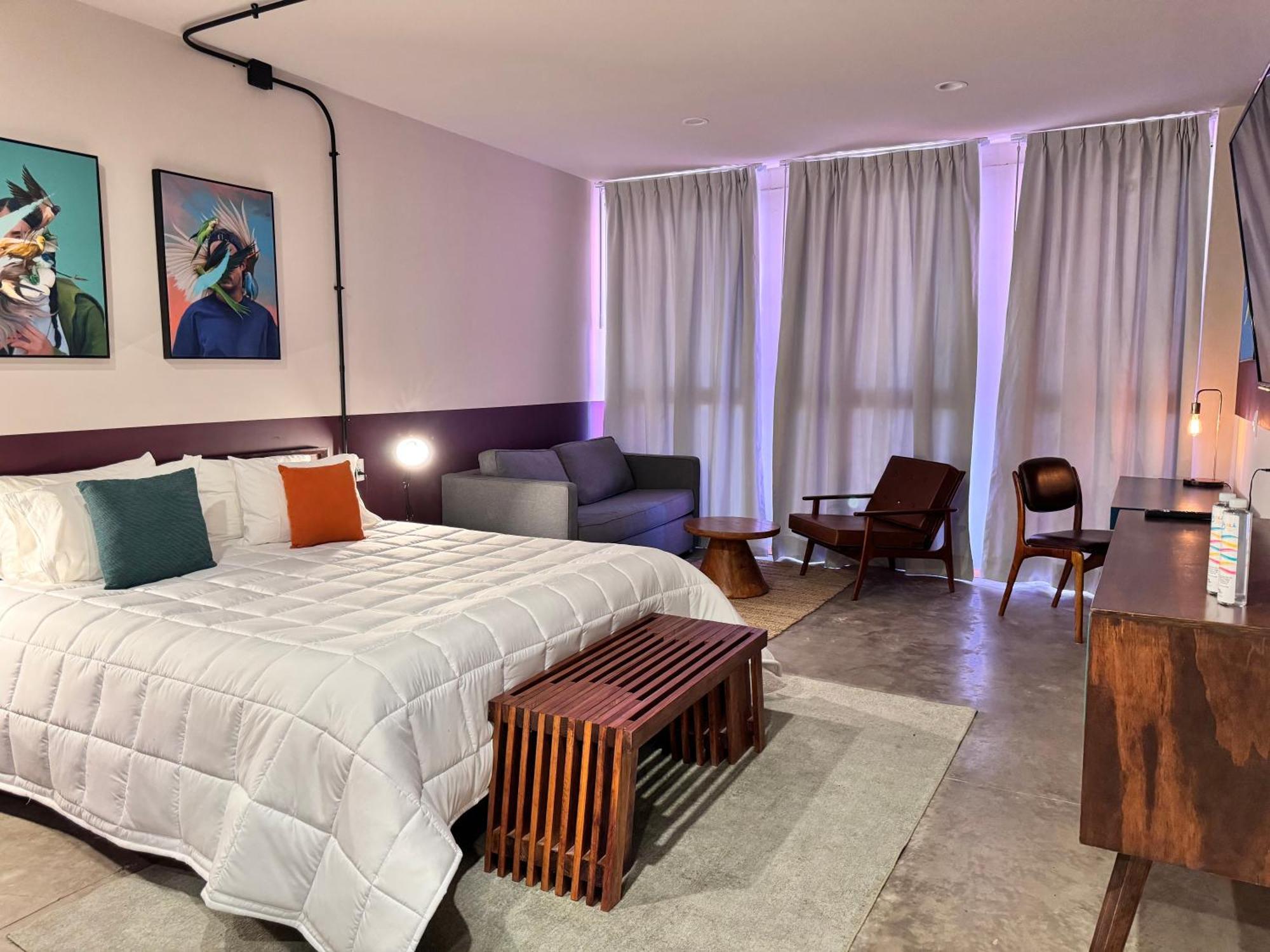 Hotel Ola Chapultepec Guadalajara Dış mekan fotoğraf
